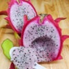 Lite Pink Dragon Fruit Cactus (hylocereus polyrhizus)